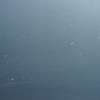 TOYOTA YARIS II DRZWI PRAWE PRZEDNIE 1F8 670010D170 nr.21 - obrazek 5