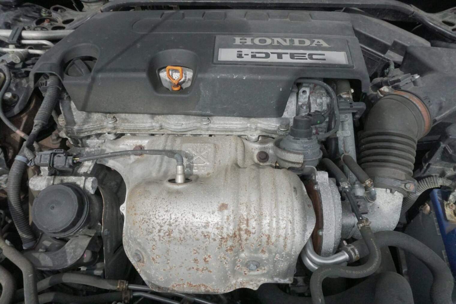 HONDA ACCORD VIII SILNIK 2.2D N22B1 WTRYSKIWACZE BLOK GLOWICA 2010rok nr.77
