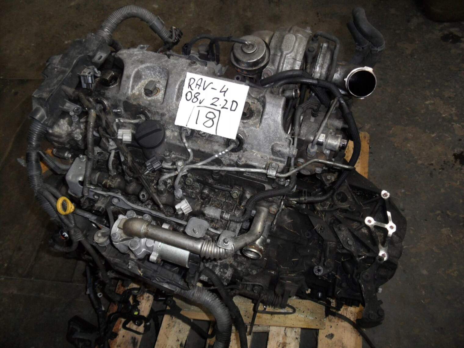 Toyota Rav-4 III 2,2 Diesel Głowica Silnika